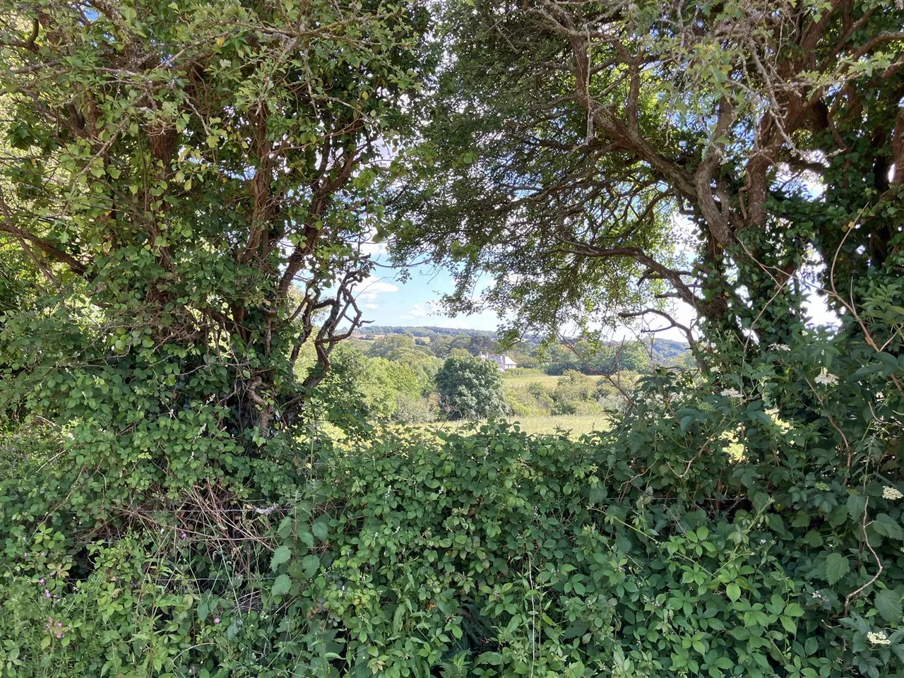 Perranwell, Truro, photo 4