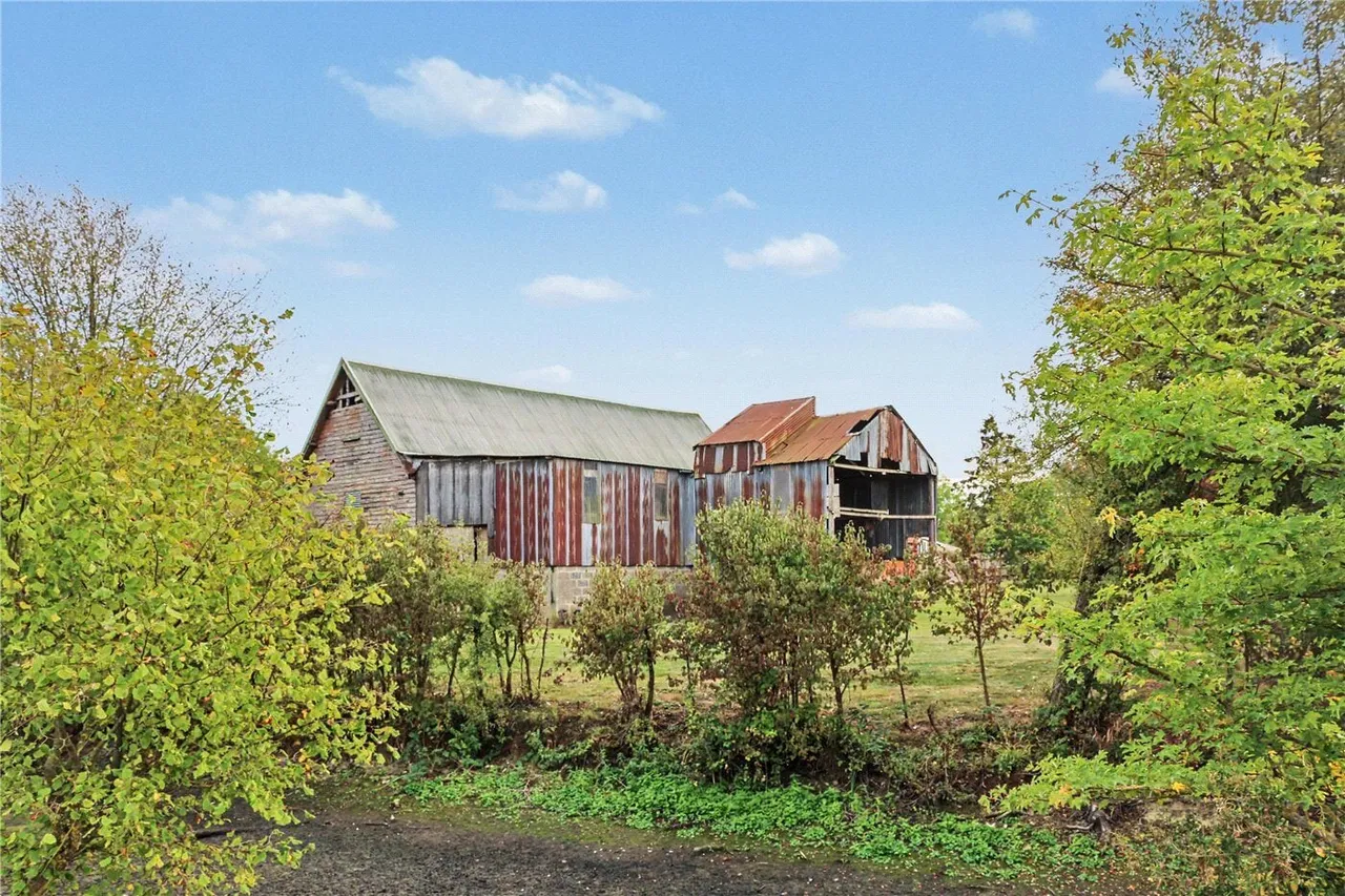 Wissett, Halesworth, IP19, photo 7