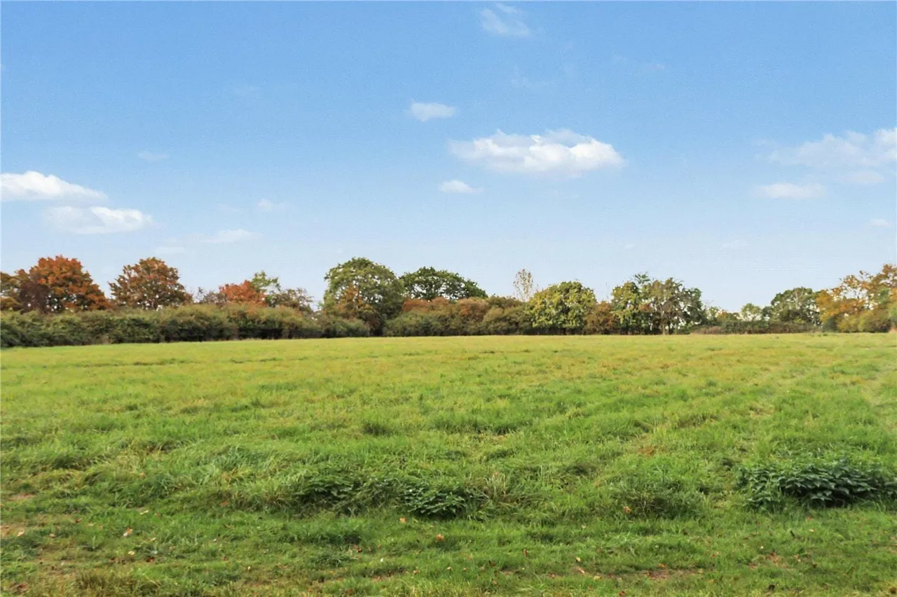 Wissett, Halesworth, IP19, photo 11