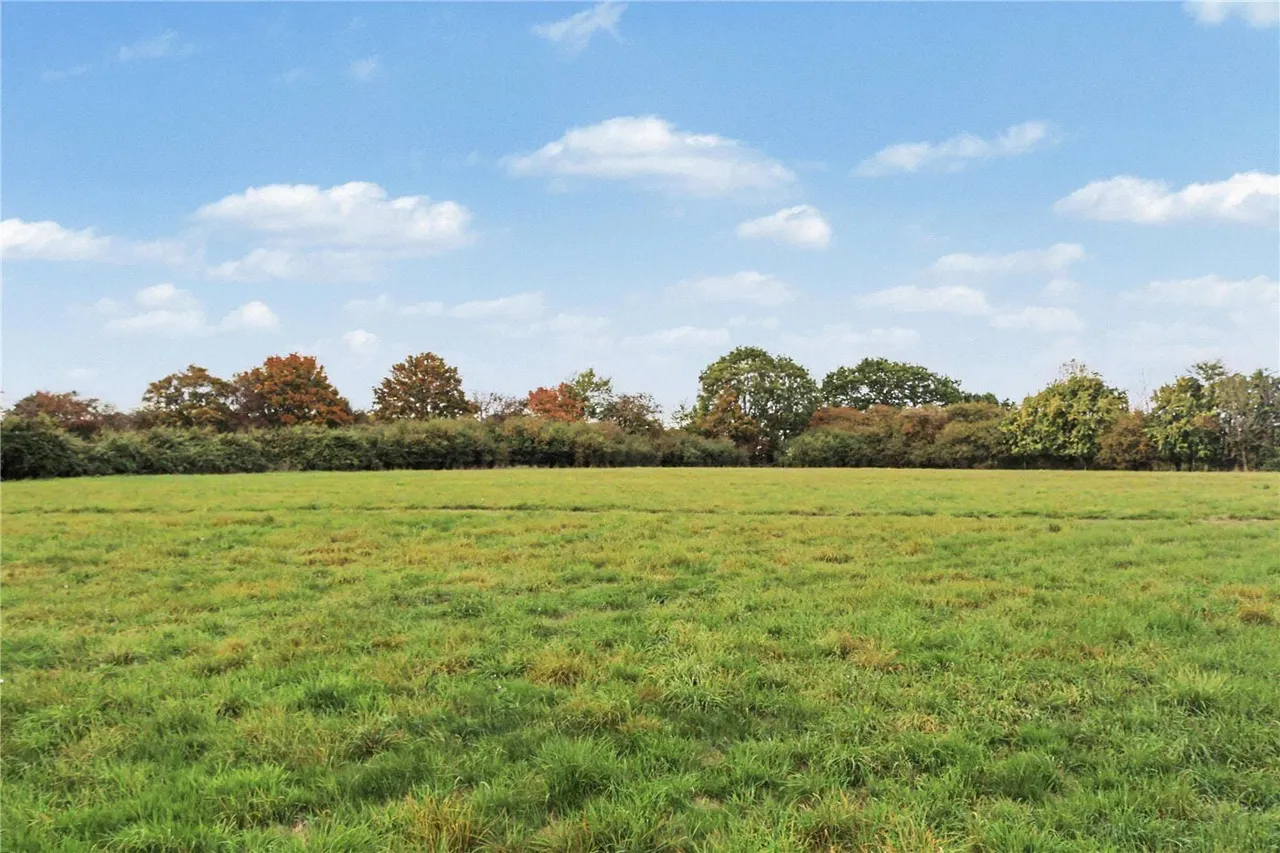 Wissett, Halesworth, IP19, photo 12