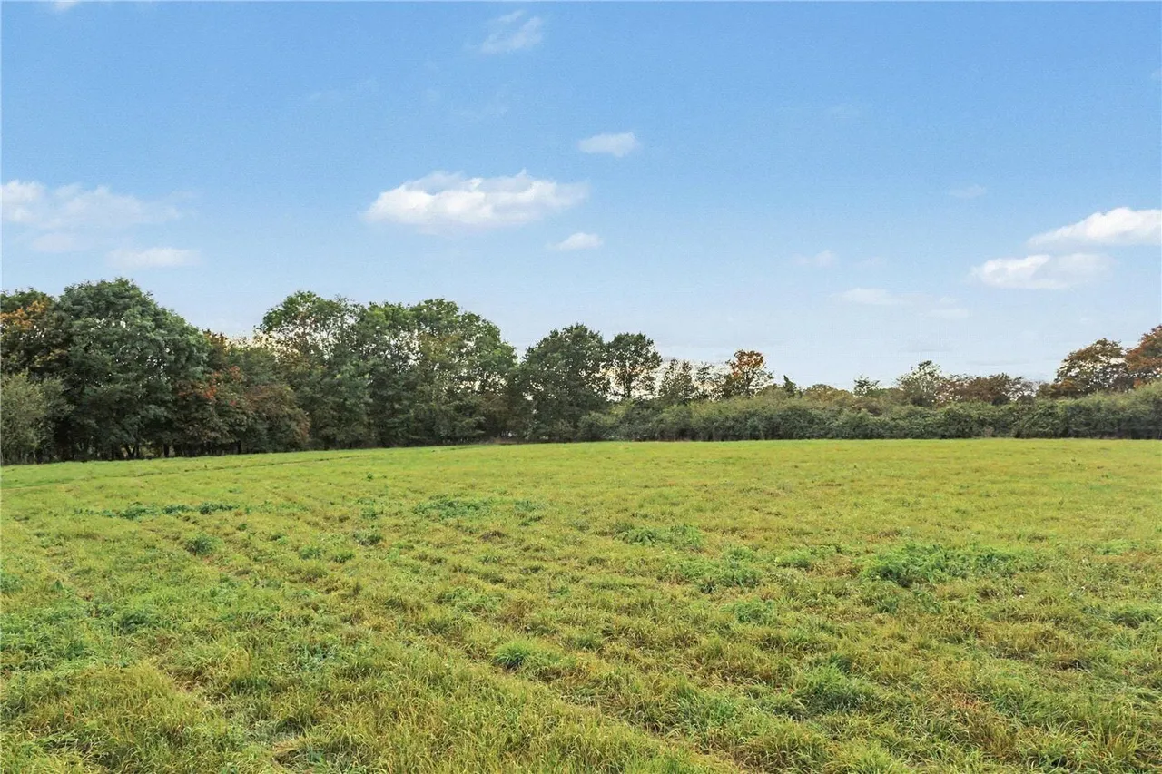 Wissett, Halesworth, IP19, photo 14