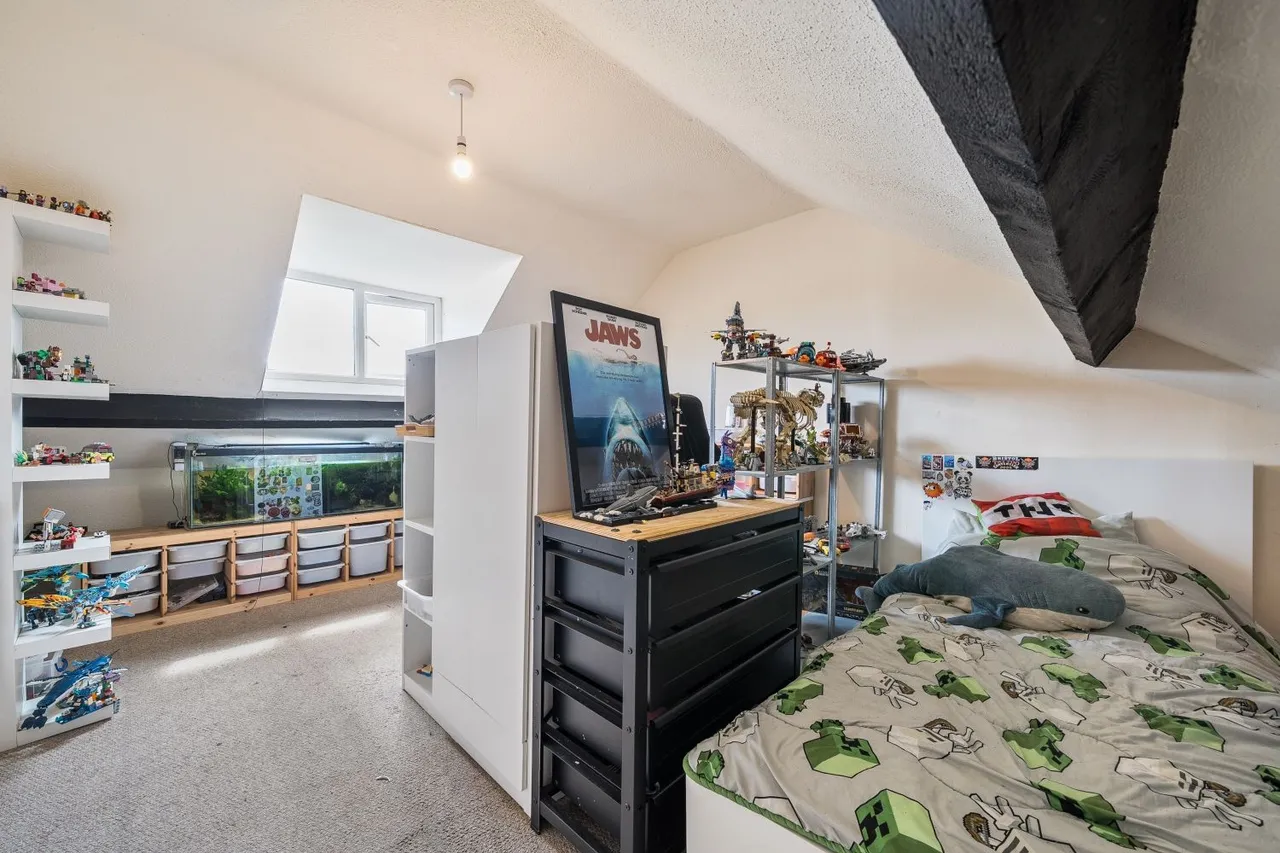 Carrington Terrace, Barnstaple, EX32, photo 16