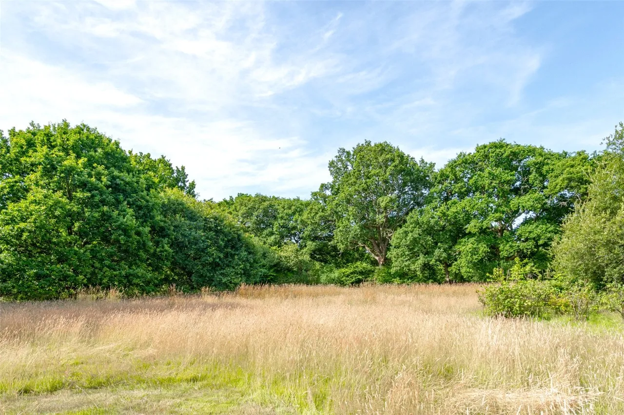 Furzehill, Wimborne, BH21, photo 4