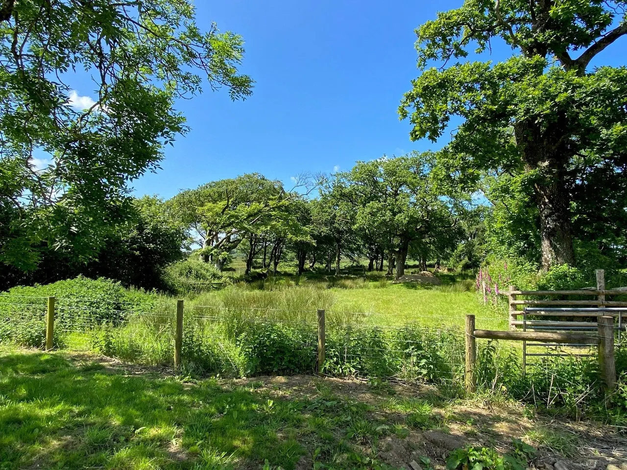 Sutcombe, Holsworthy, photo 14
