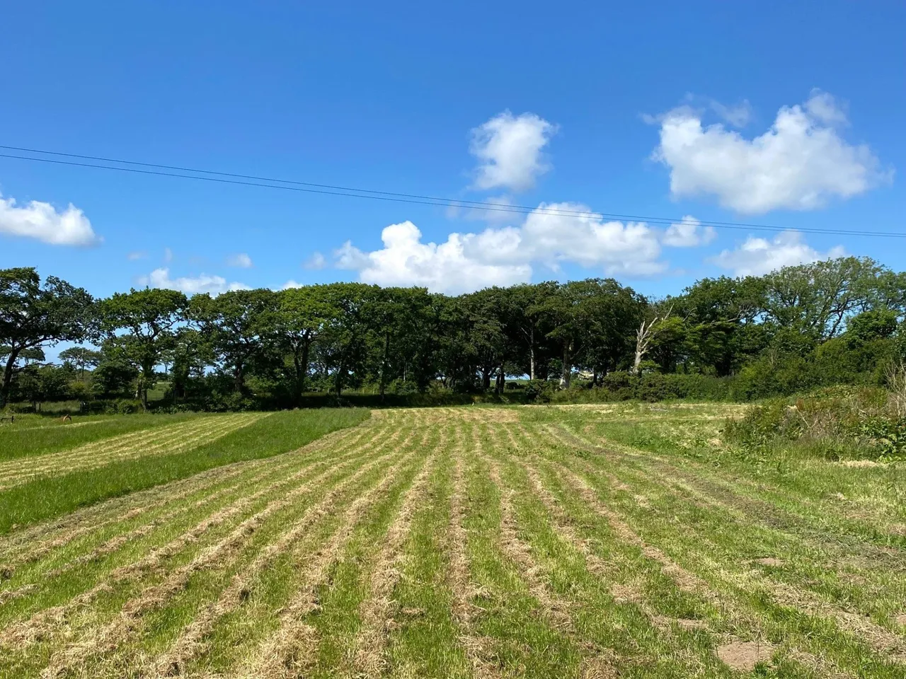 Sutcombe, Holsworthy, photo 4