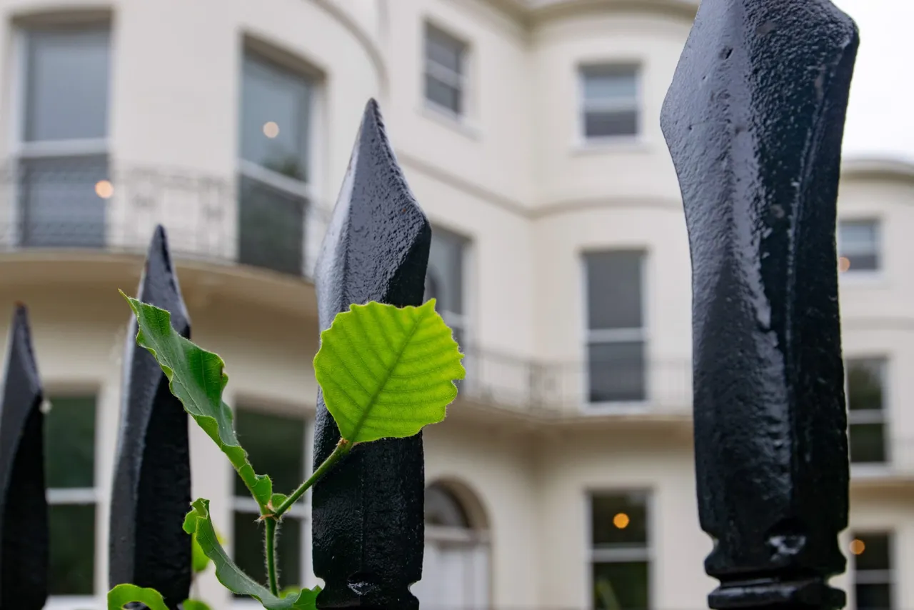 Apartment 1, Sandford Park House 39-41 London Road, Cheltenham, GL52 6HE, photo 14