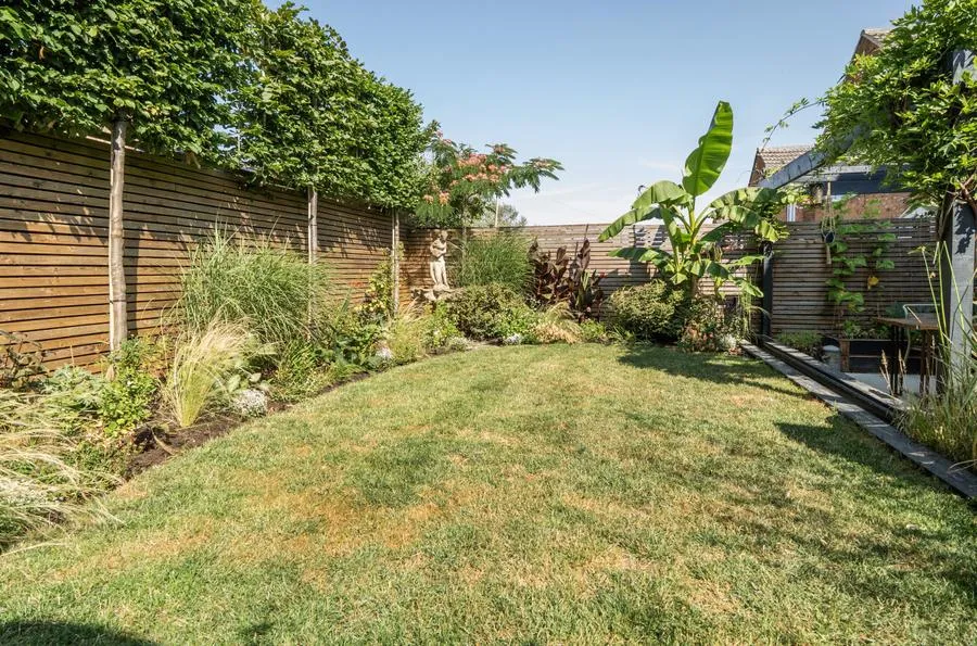 Windsor Gardens, Braintree, CM7, photo 16