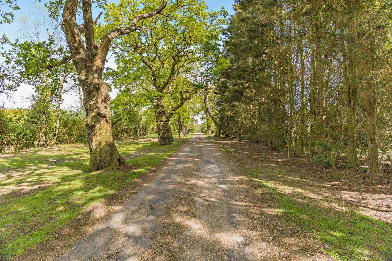 Loamy Hill Road, Great Totham, Maldon, Essex, CM9 8LS, photo 3
