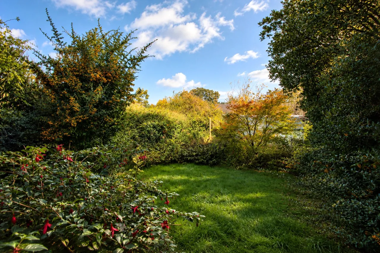 Bedford, Bedfordshire, photo 9