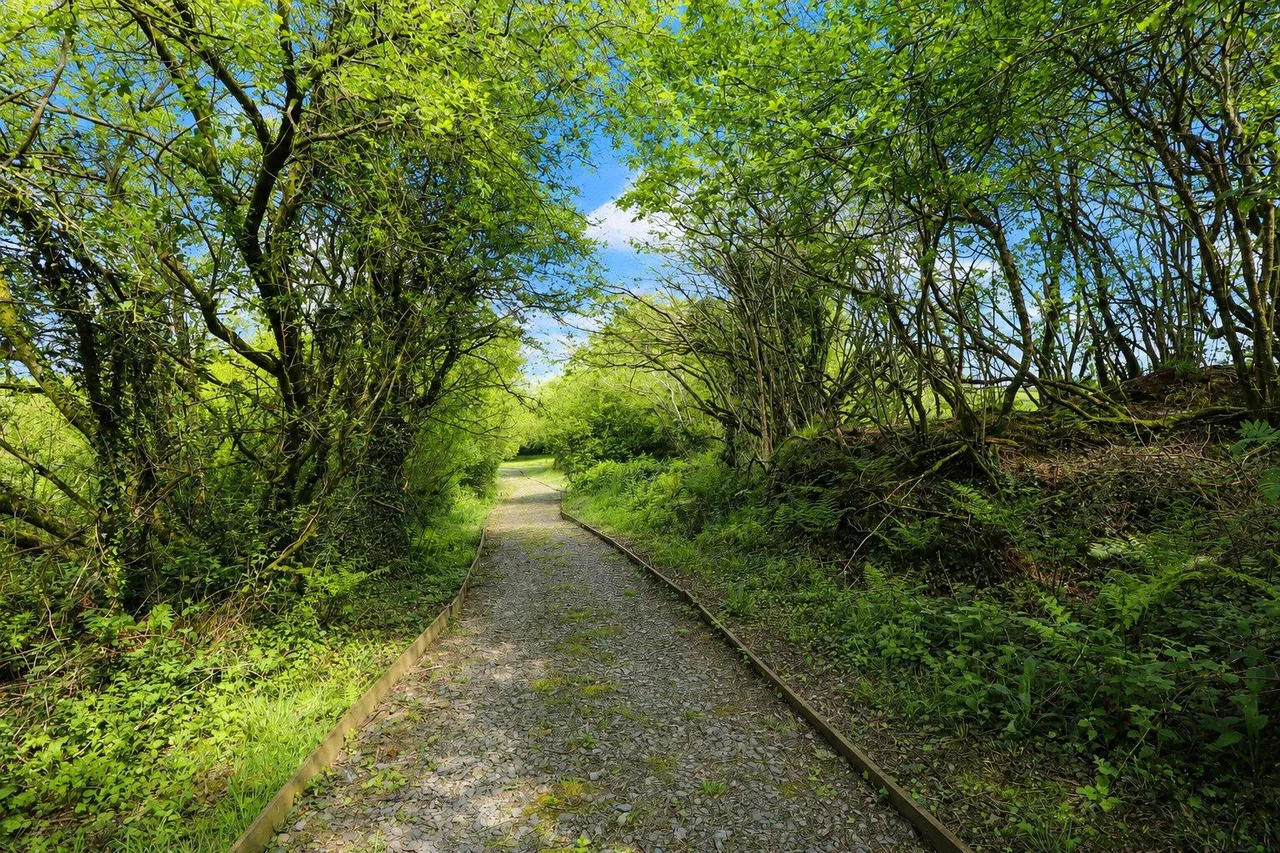 Woolsery, Bideford, photo 37