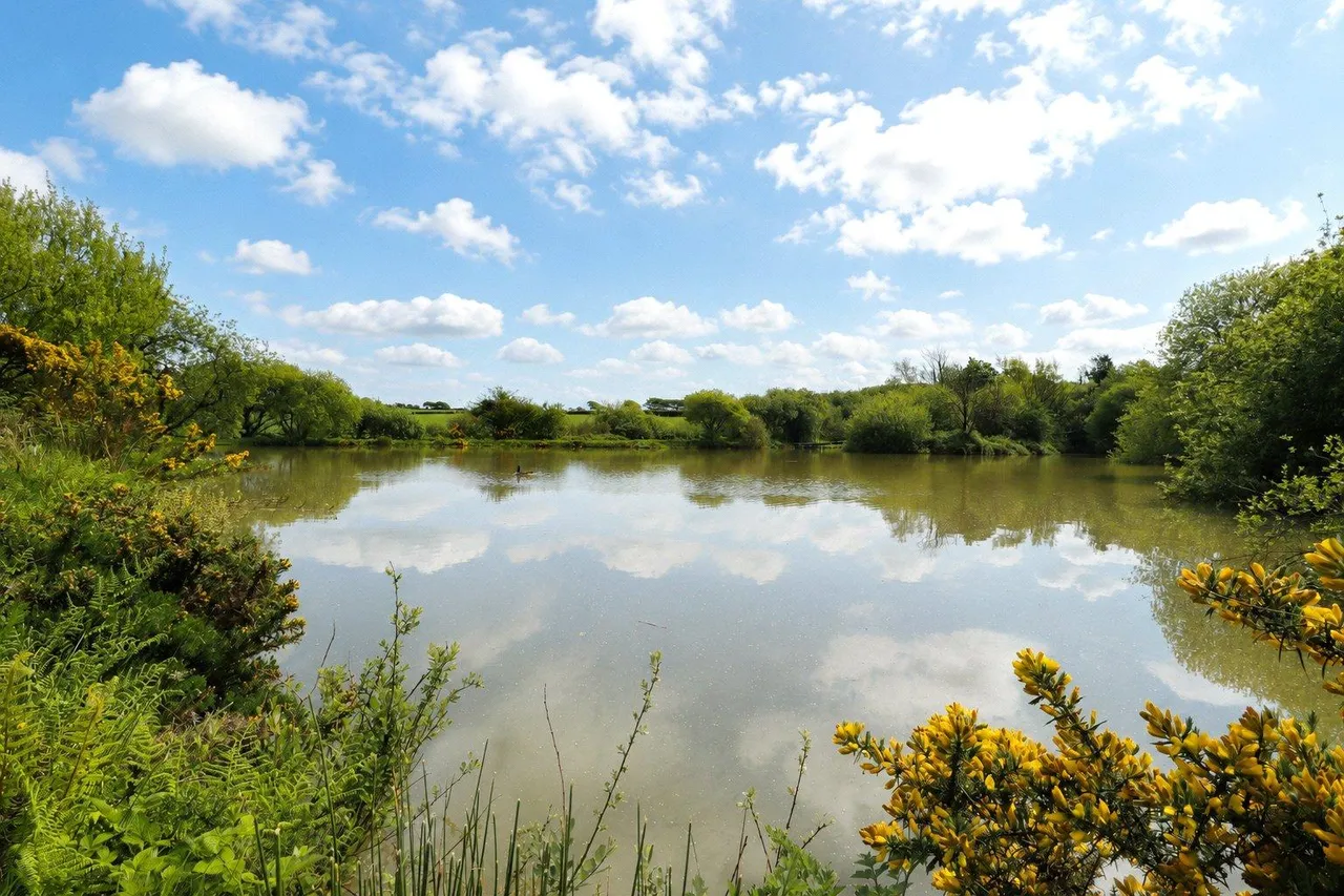 Woolsery, Bideford, photo 41