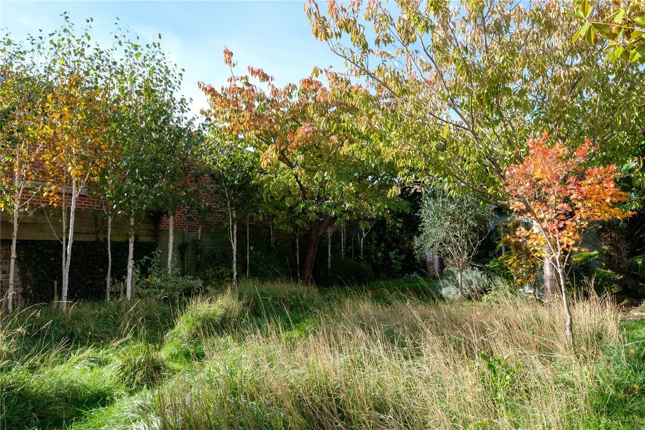 South Street, Bridport, DT6, photo 25