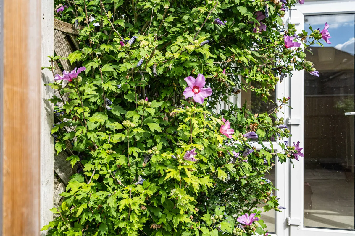 Piper Street, Headington, photo 5