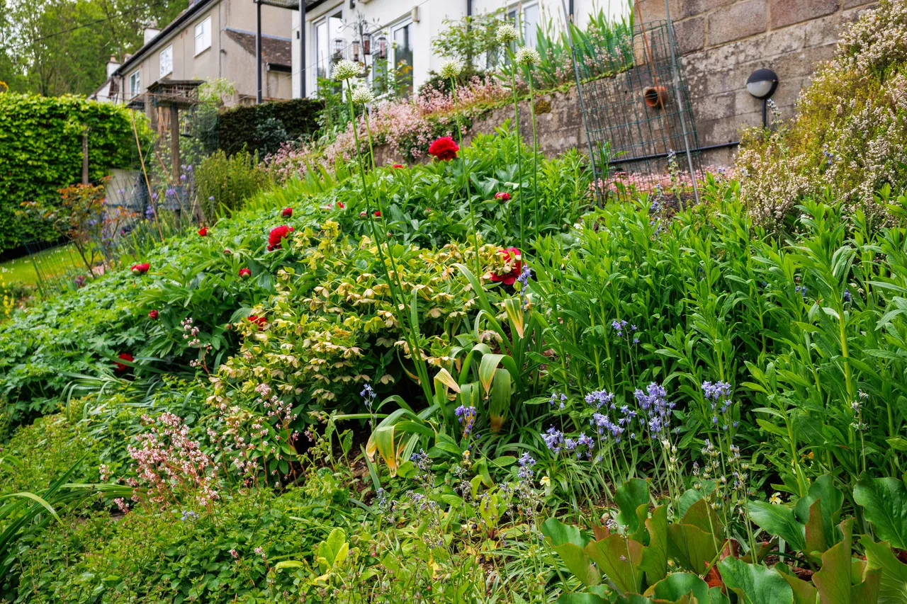 Rodborough Common, Stroud, GL5, photo 22
