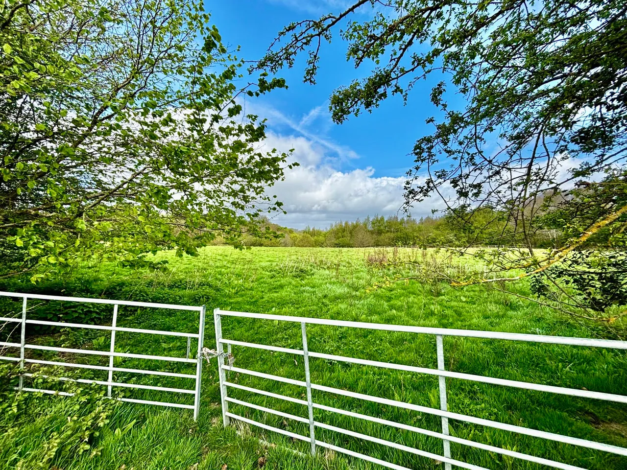 The Granary, Satins Hill Farm, TN17, photo 12