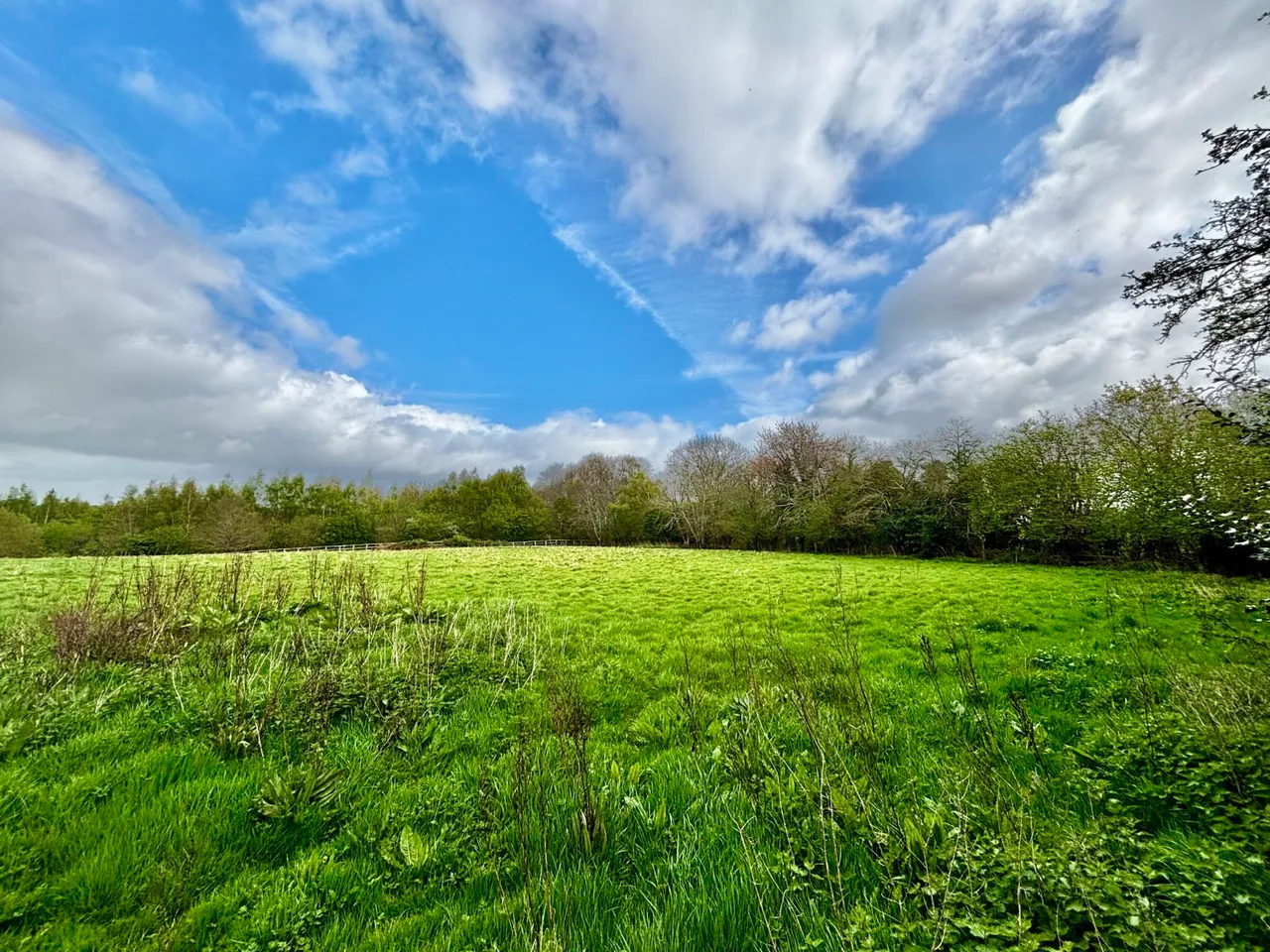 The Granary, Satins Hill Farm, TN17, photo 13