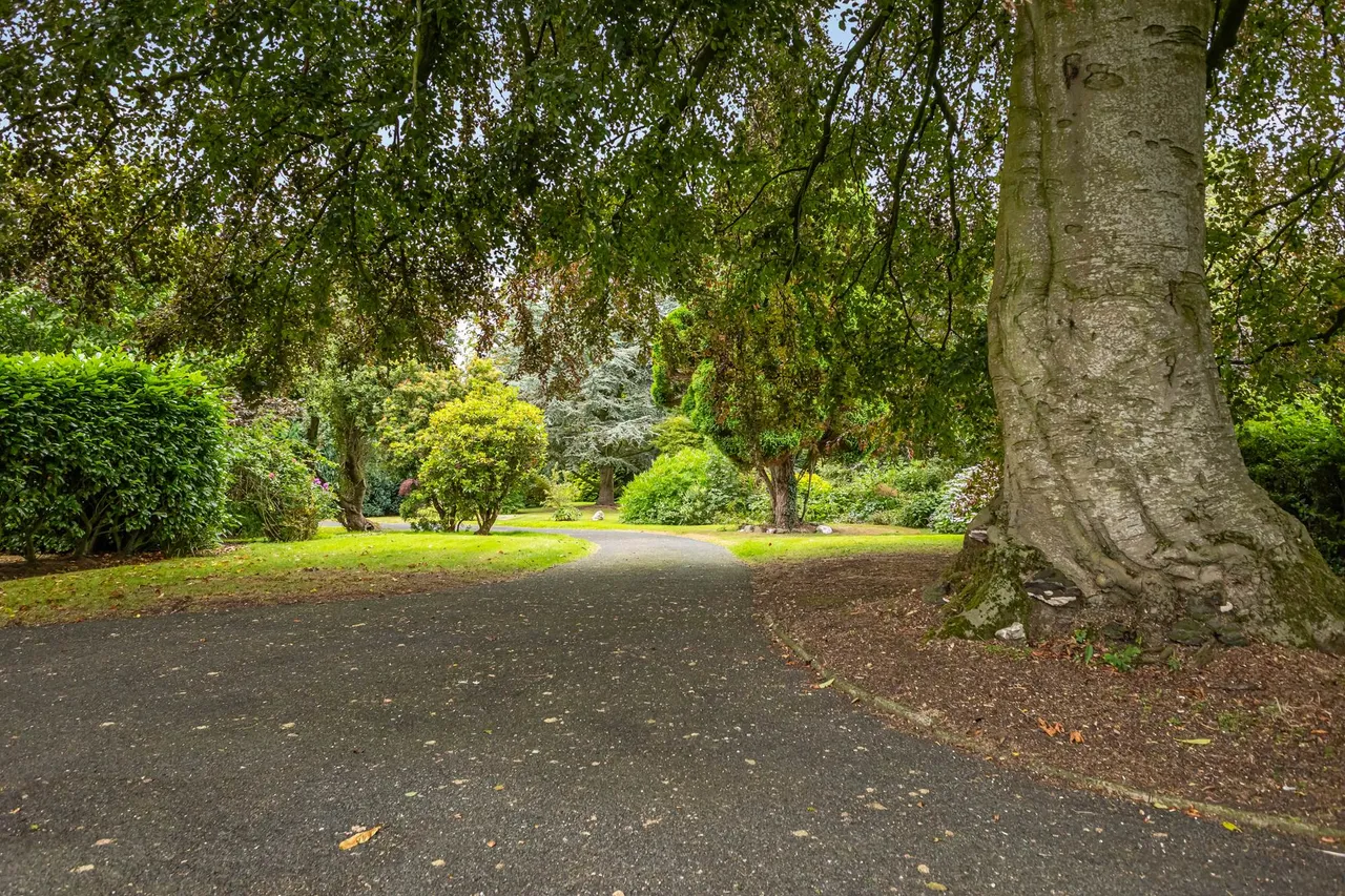 Lisburn Road, Moira, BT67, photo 34