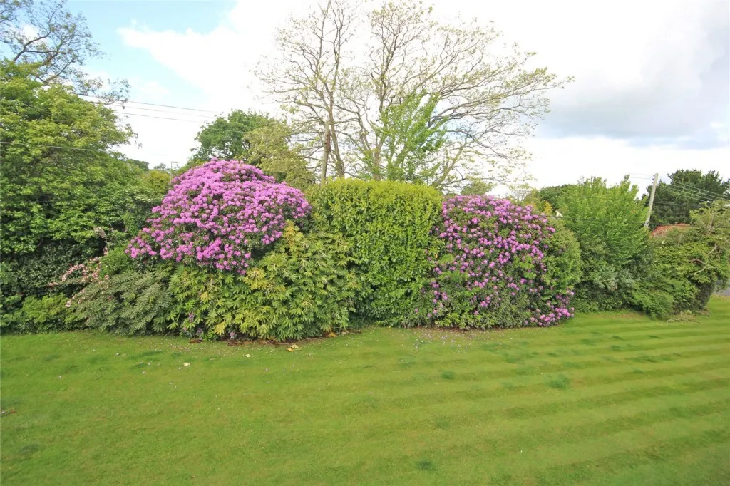 New Milton, Hampshire, photo 9