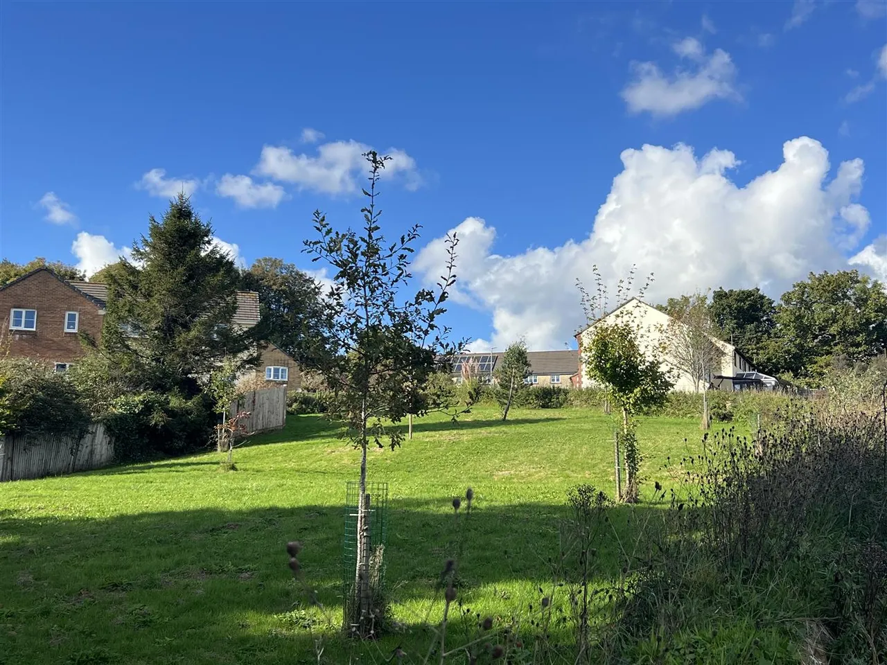 Jubilee Meadow, St. Austell, photo 15