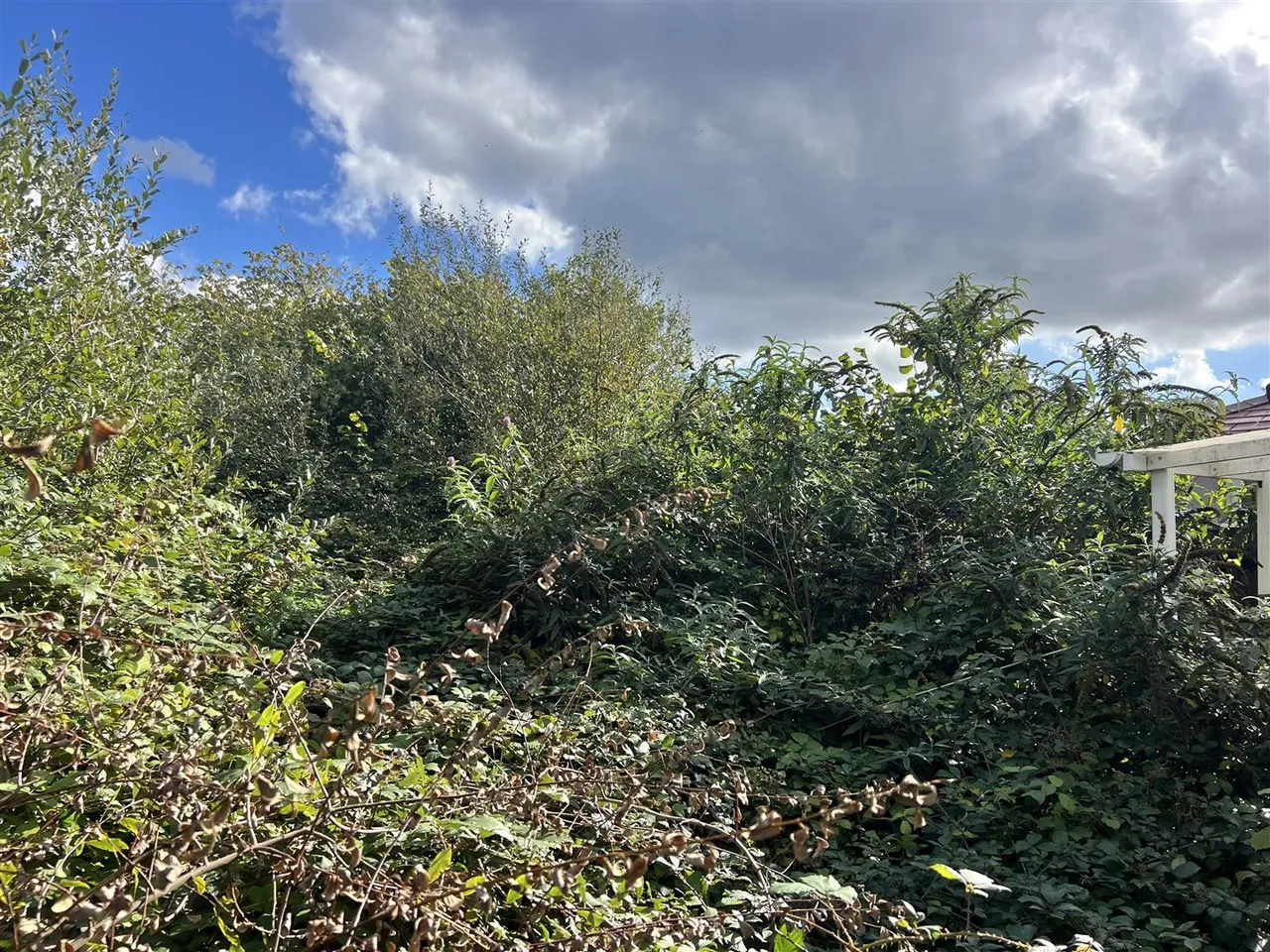 Jubilee Meadow, St. Austell, photo 13