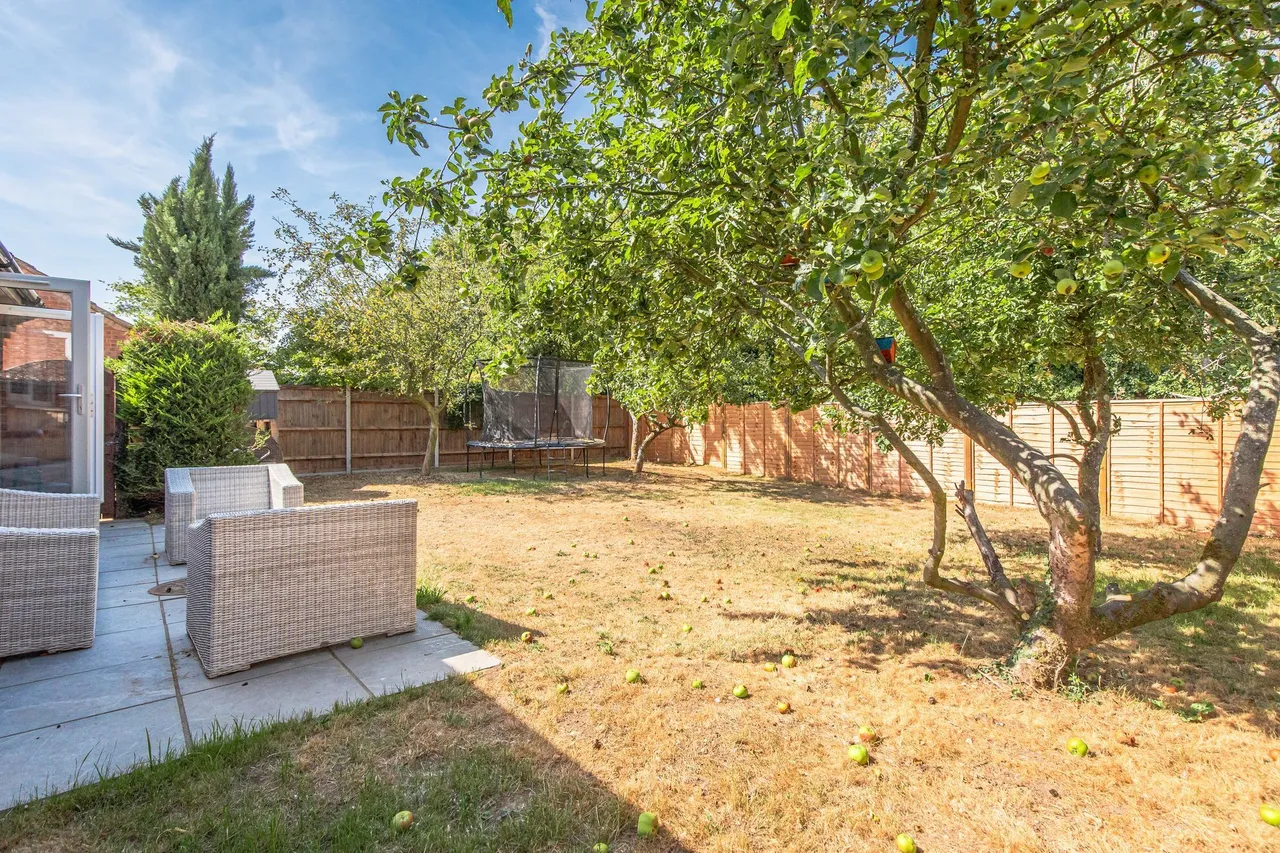 Detached Fully Renovated Bungalow in, photo 10