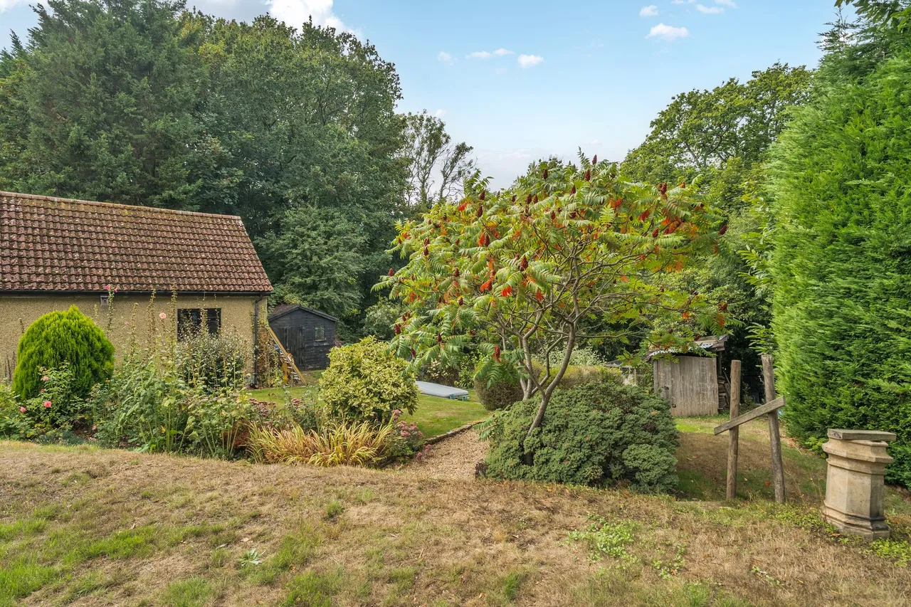 Beech Road, Haslemere, GU27, photo 24