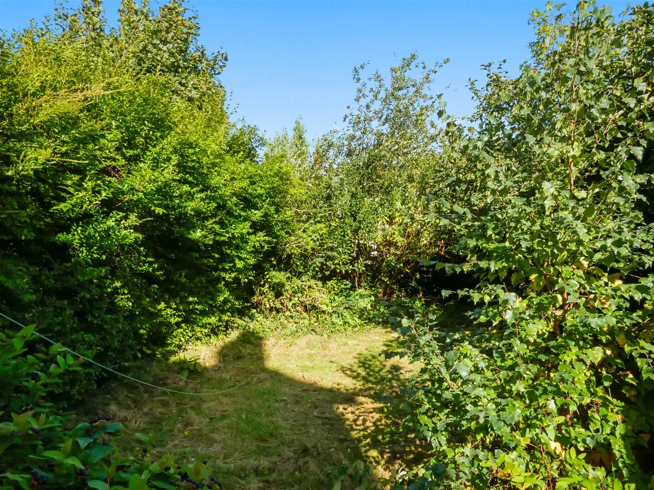 Haddington Gardens, Belfast, BT6, photo 14