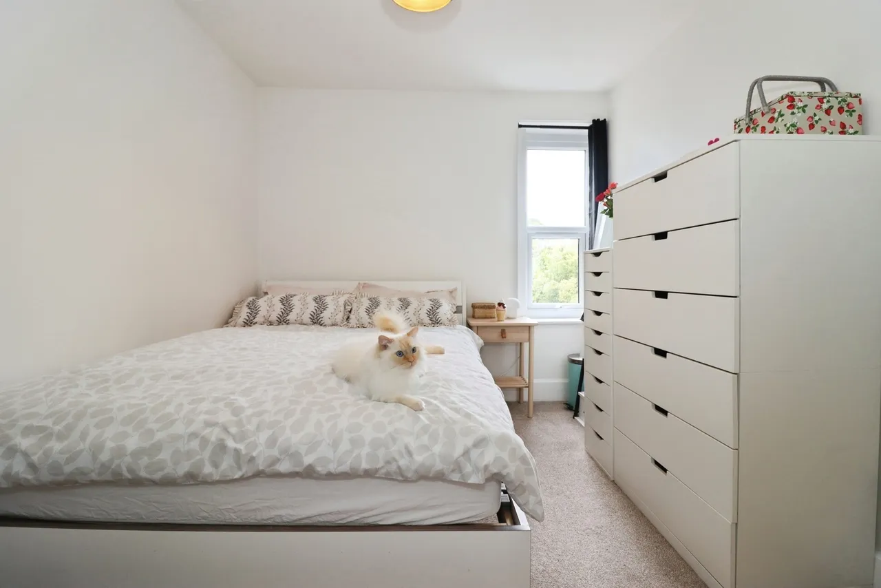 Charlton Road, Kingswood, Bristol, BS15, photo 11
