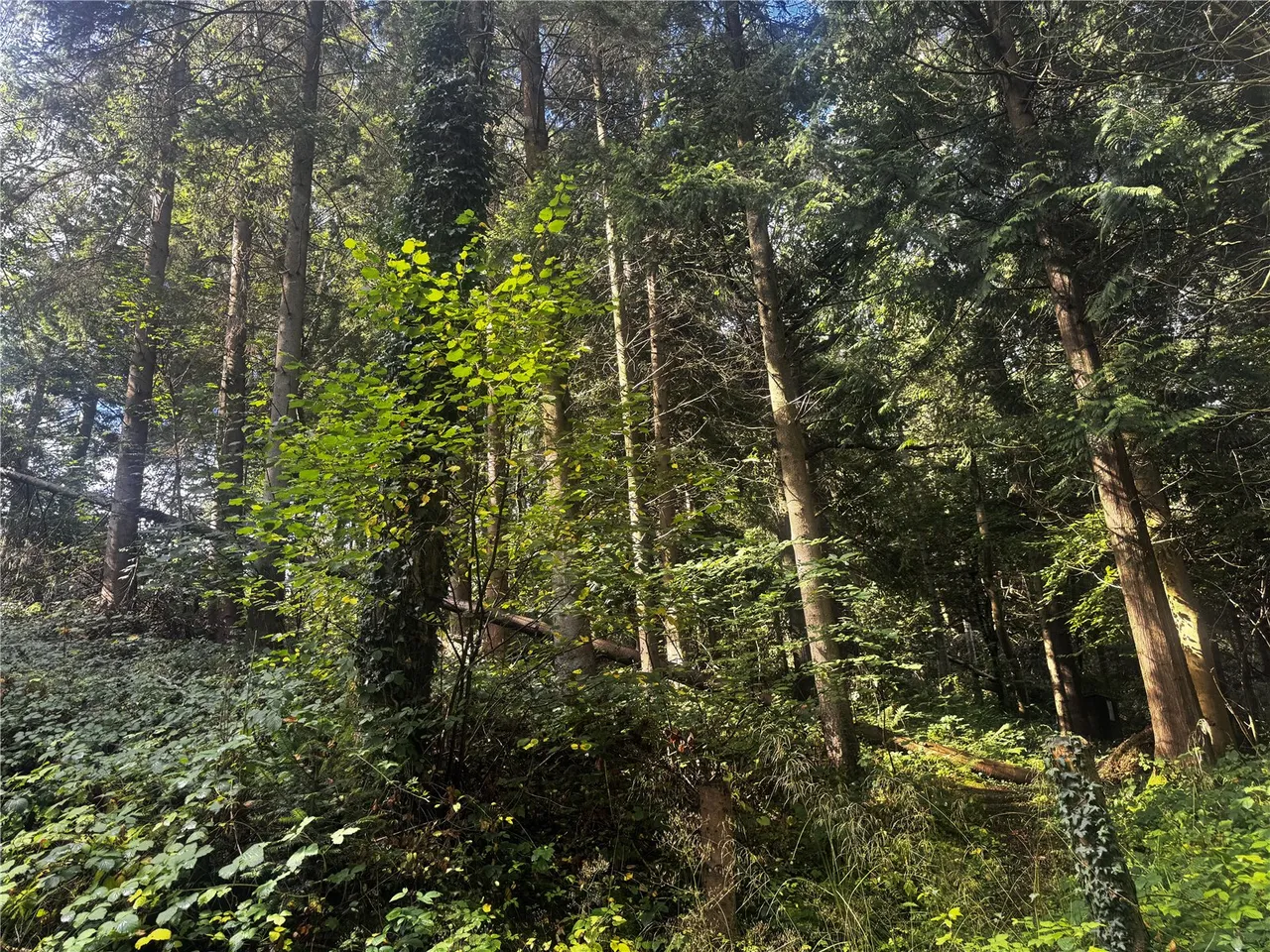 Berriew, Welshpool, photo 7