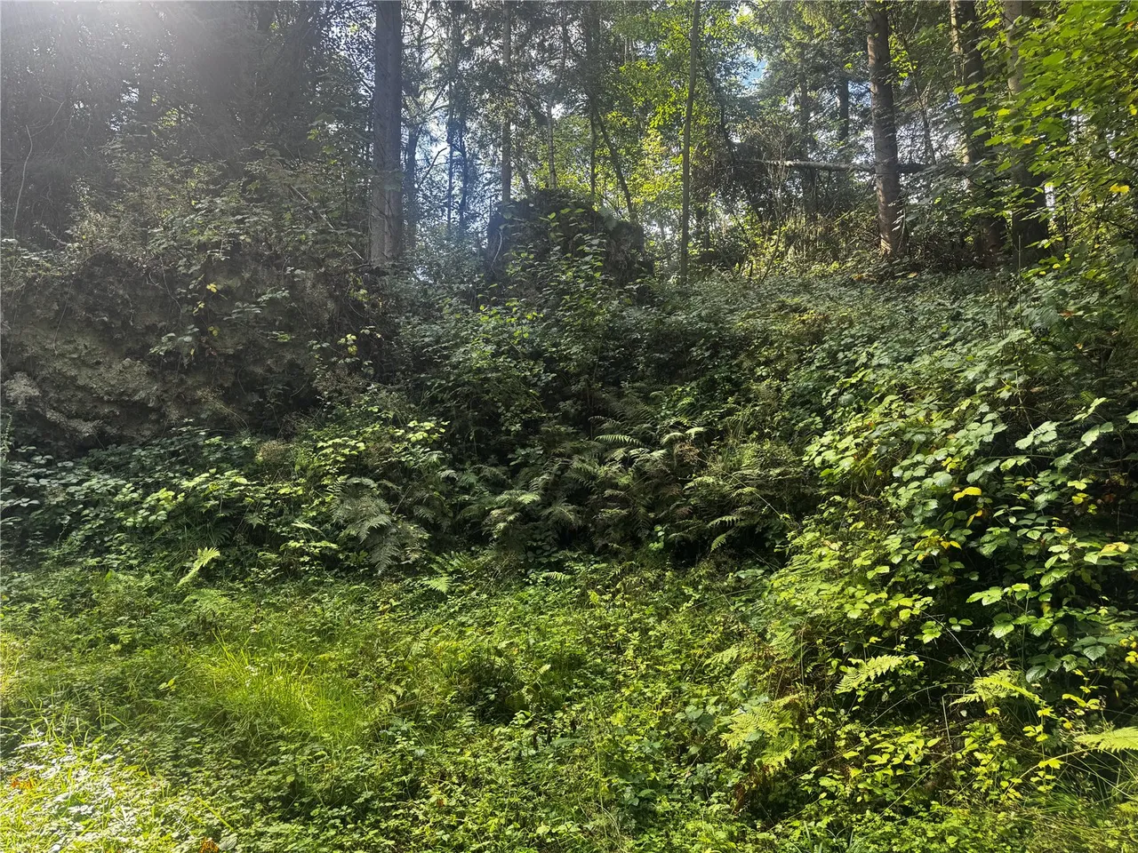 Berriew, Welshpool, photo 12