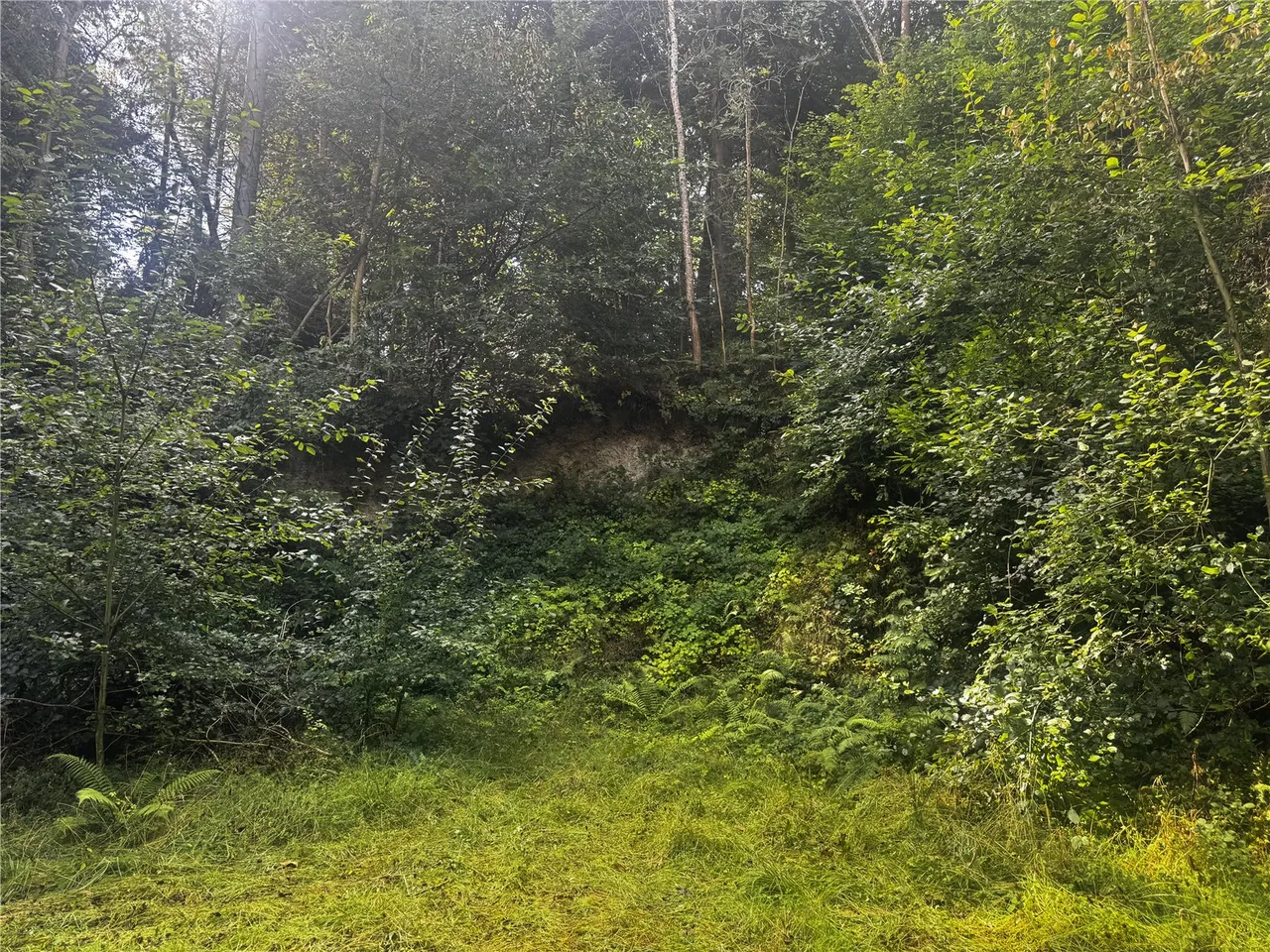 Berriew, Welshpool, photo 13