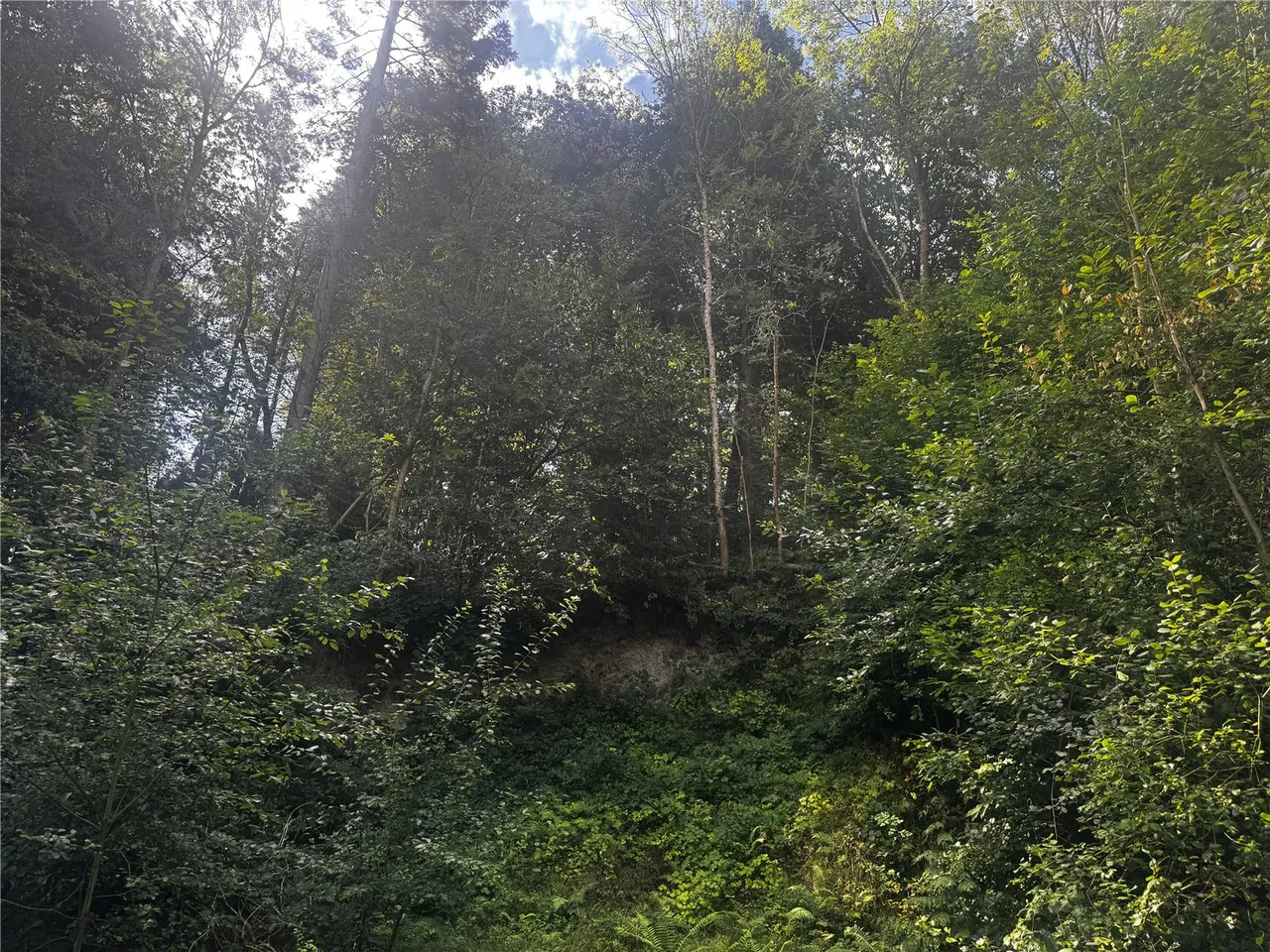 Berriew, Welshpool, photo 9