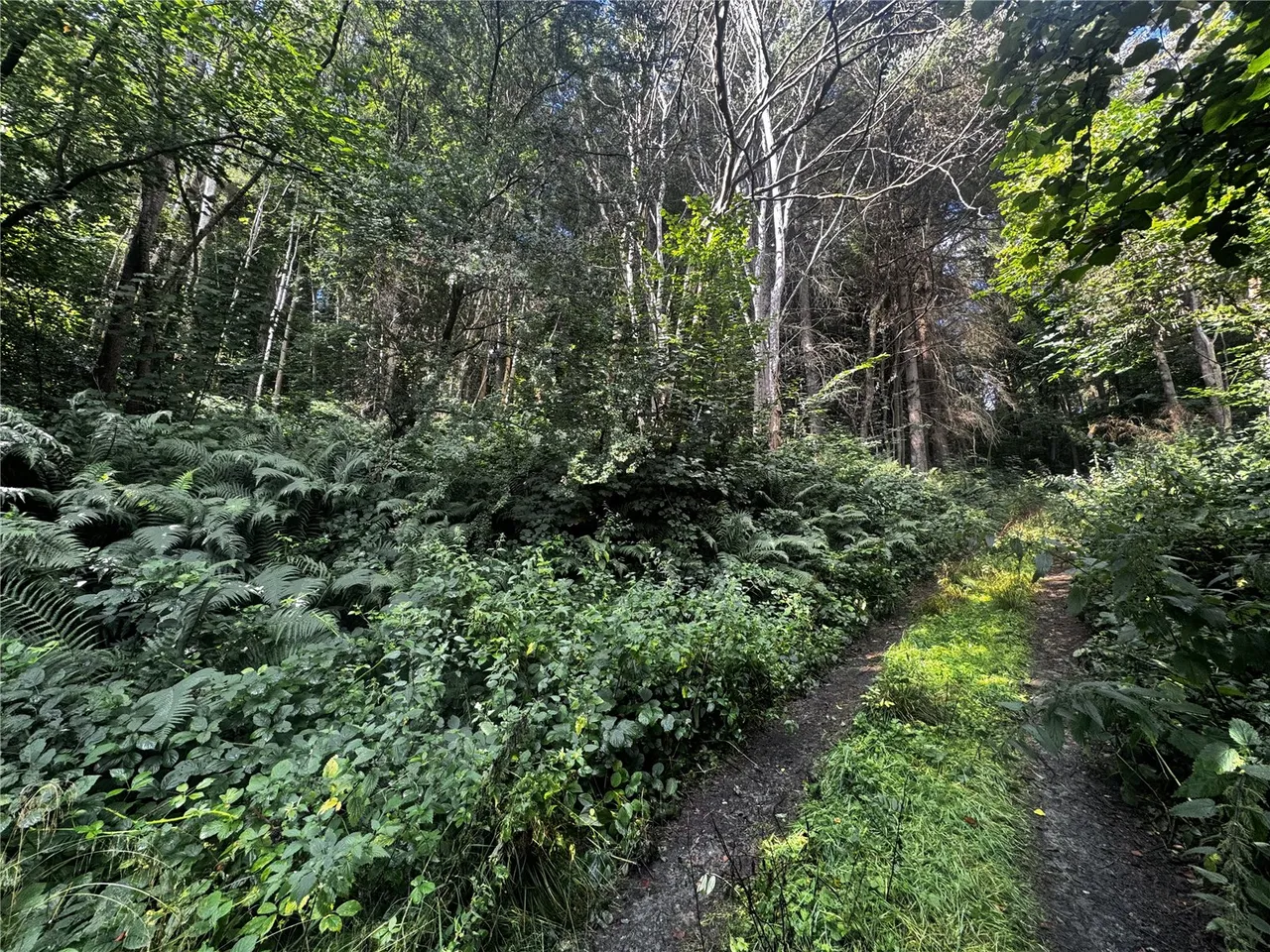 Berriew, Welshpool, photo 17