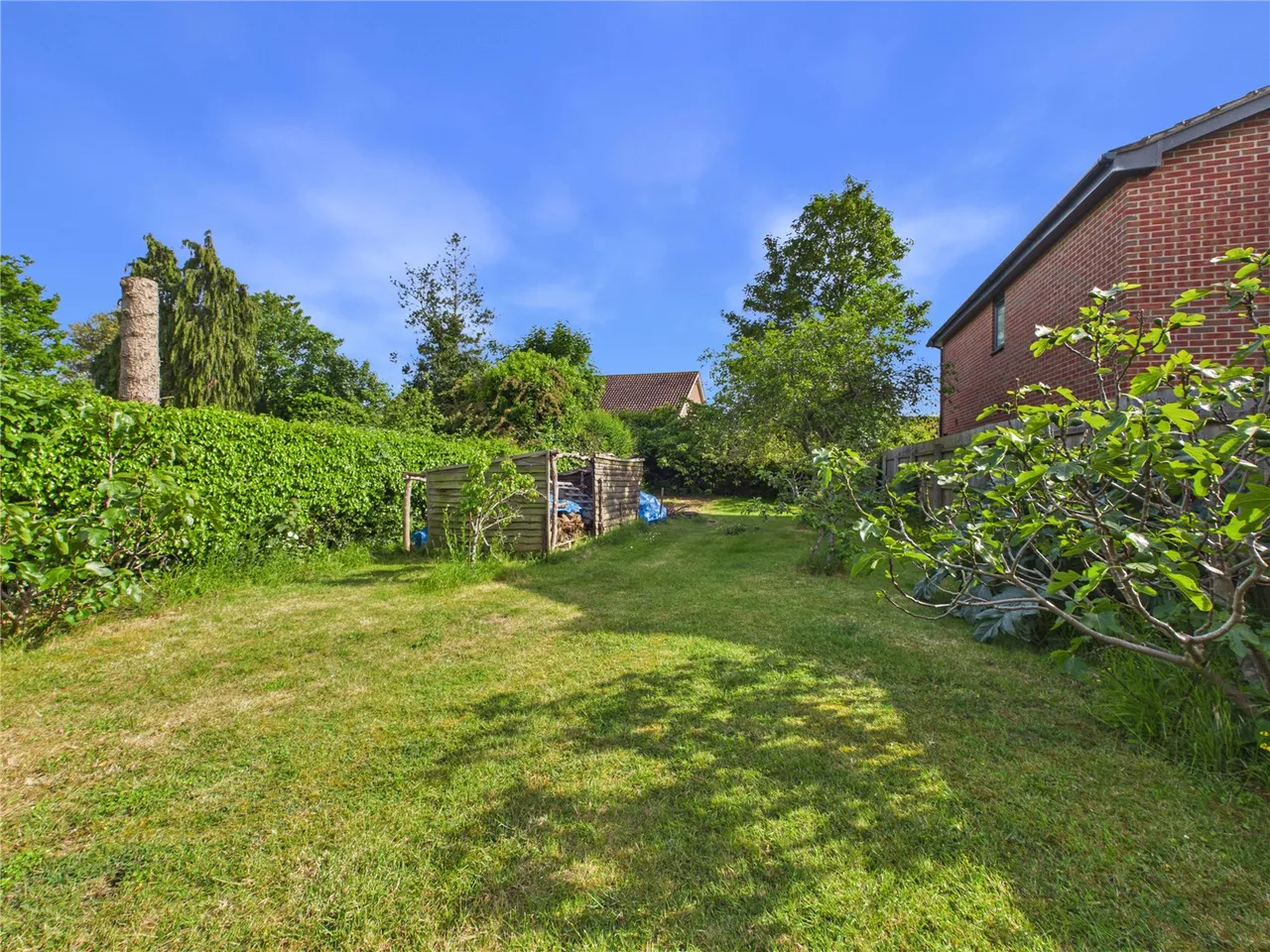 Freehold Road, Ipswich, IP4, photo 20