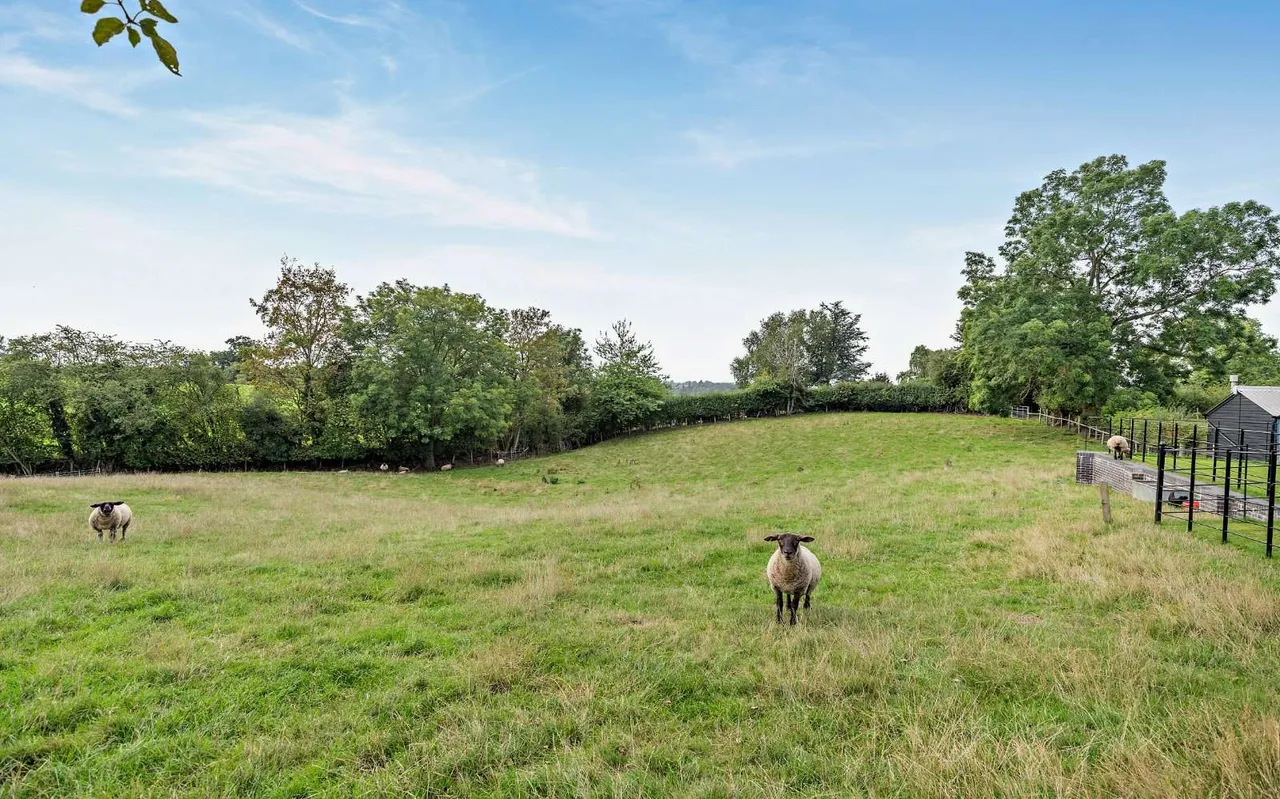 Bryn-Y-Cochin, Ellesmere, SY12, photo 59