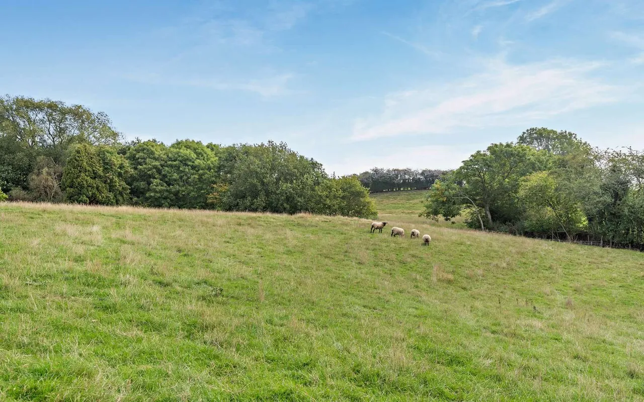 Bryn-Y-Cochin, Ellesmere, SY12, photo 60