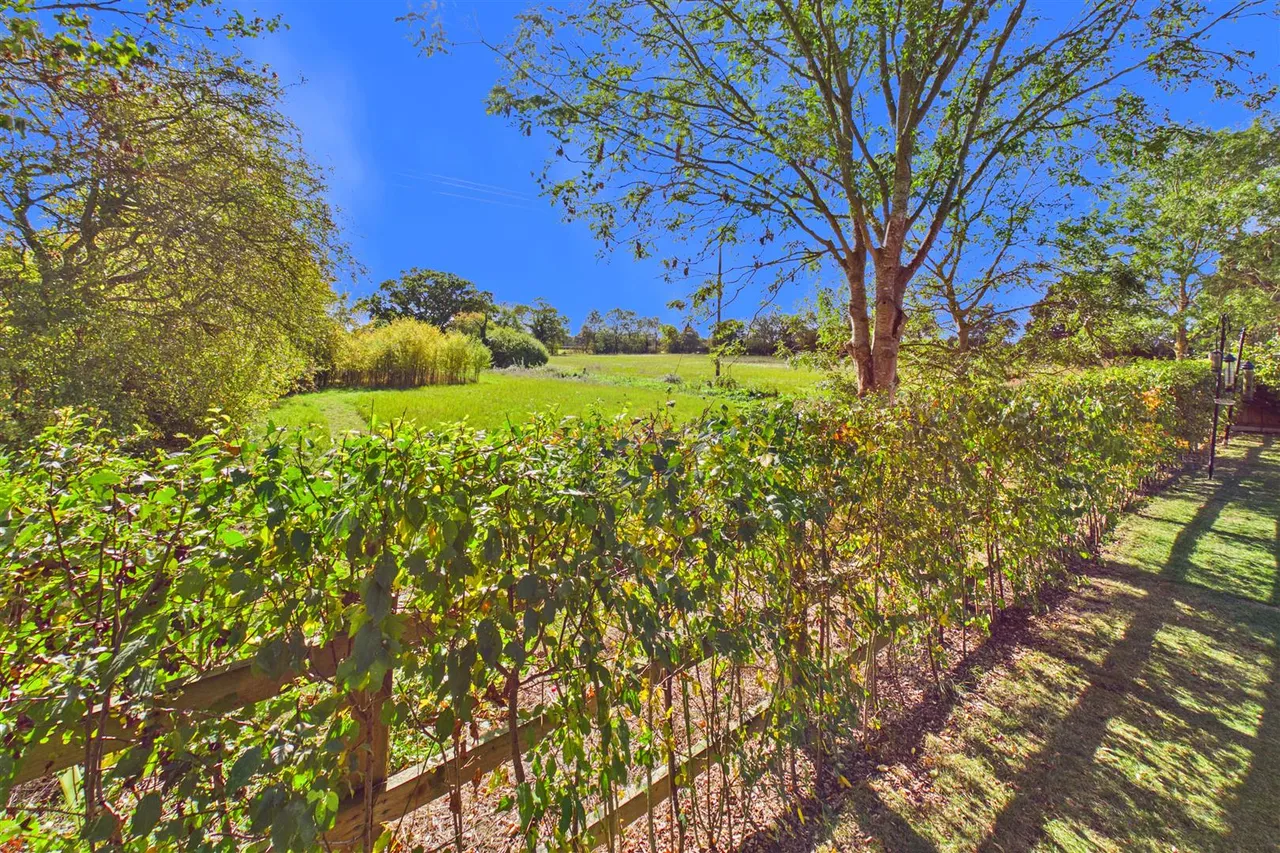 Willow Close, Gislingham, IP23, photo 13