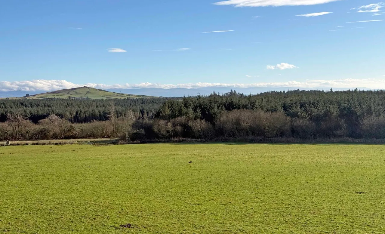 Llanaelhaearn, Caernarfon, LL54, photo 36