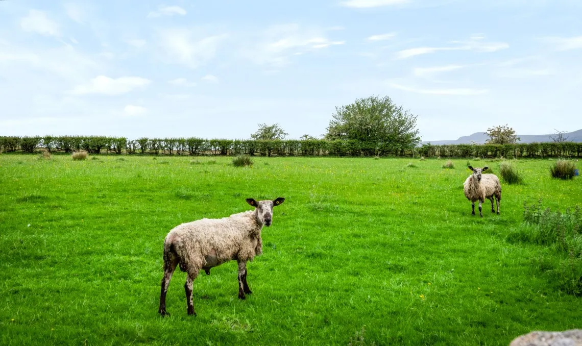 Tosside, Skipton, BD23, photo 64