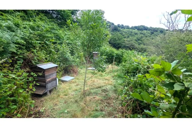 Blaencuffin Road, Abertillery, NP13, photo 30
