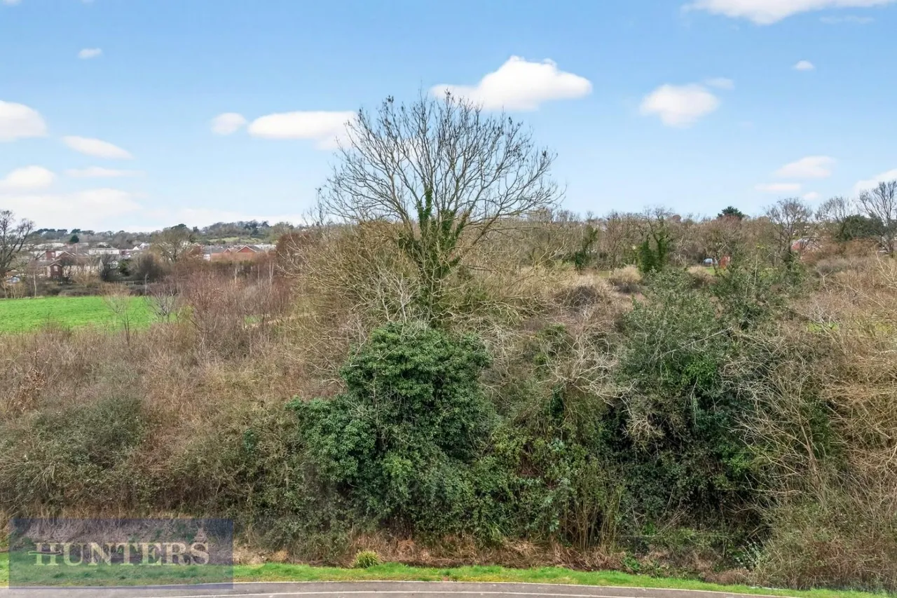 Celtic Close, Exeter, EX1, photo 28