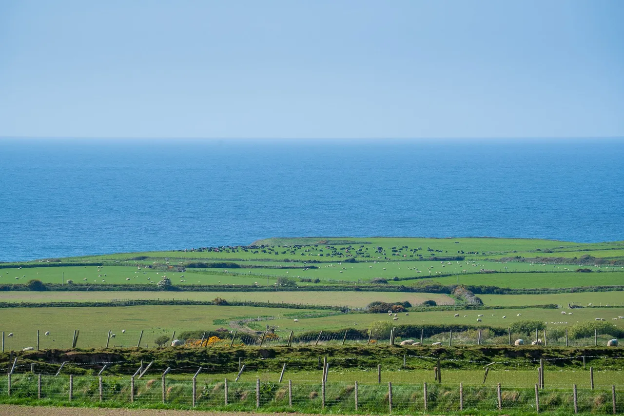 Congl Cae, Llangwnadl, LL53, photo 2