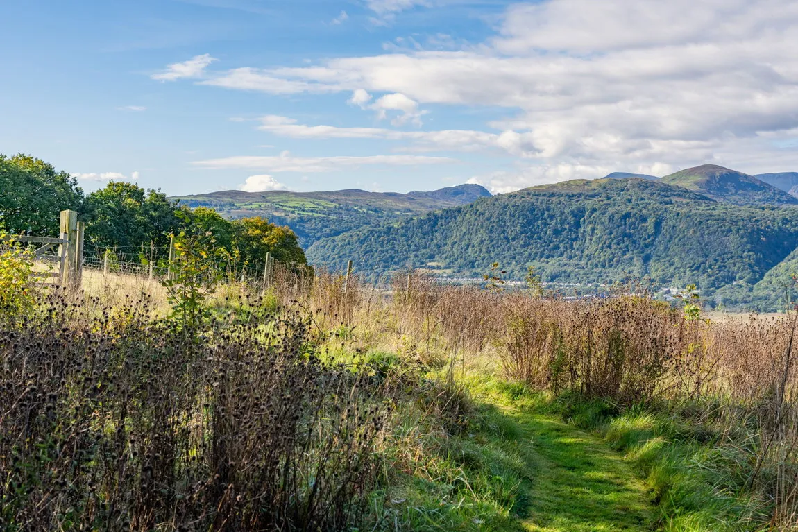 Eglwyabach, Conwy, Conwy, LL28 5SA, photo 17