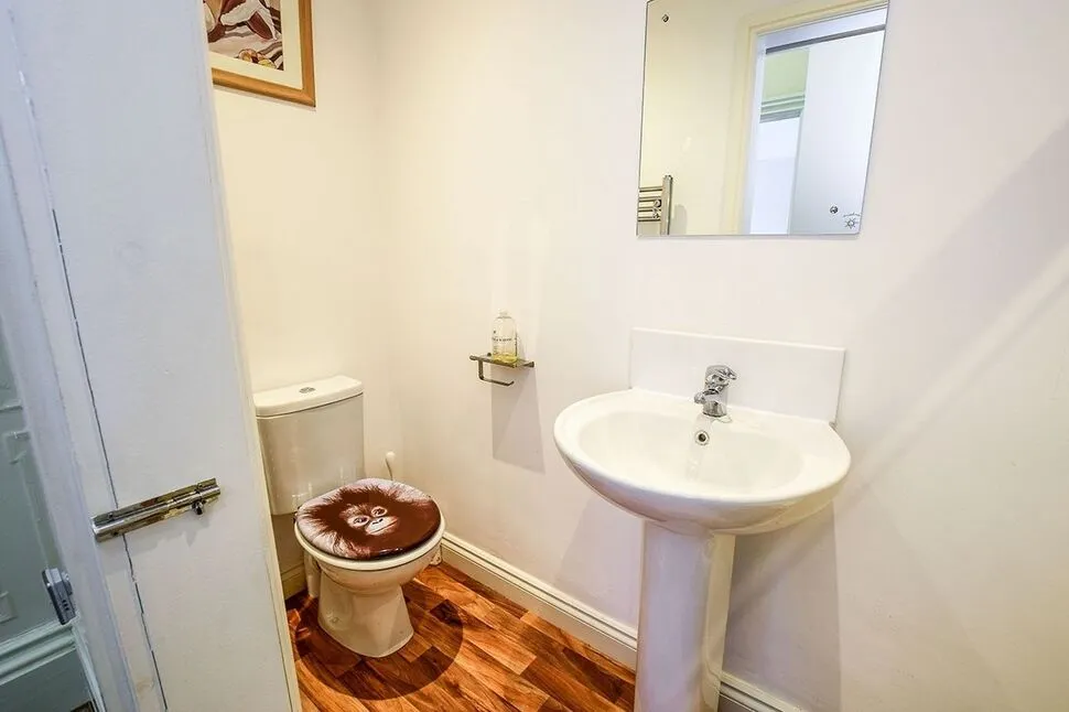 Dudley Street, Grimsby, DN31, photo 6