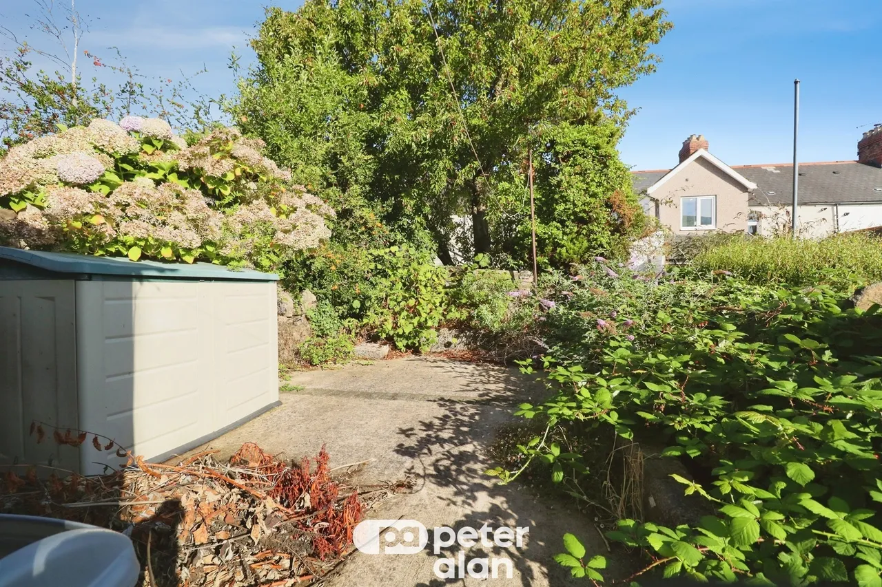 Upper Kincraig Street, Cardiff, CF24, photo 16