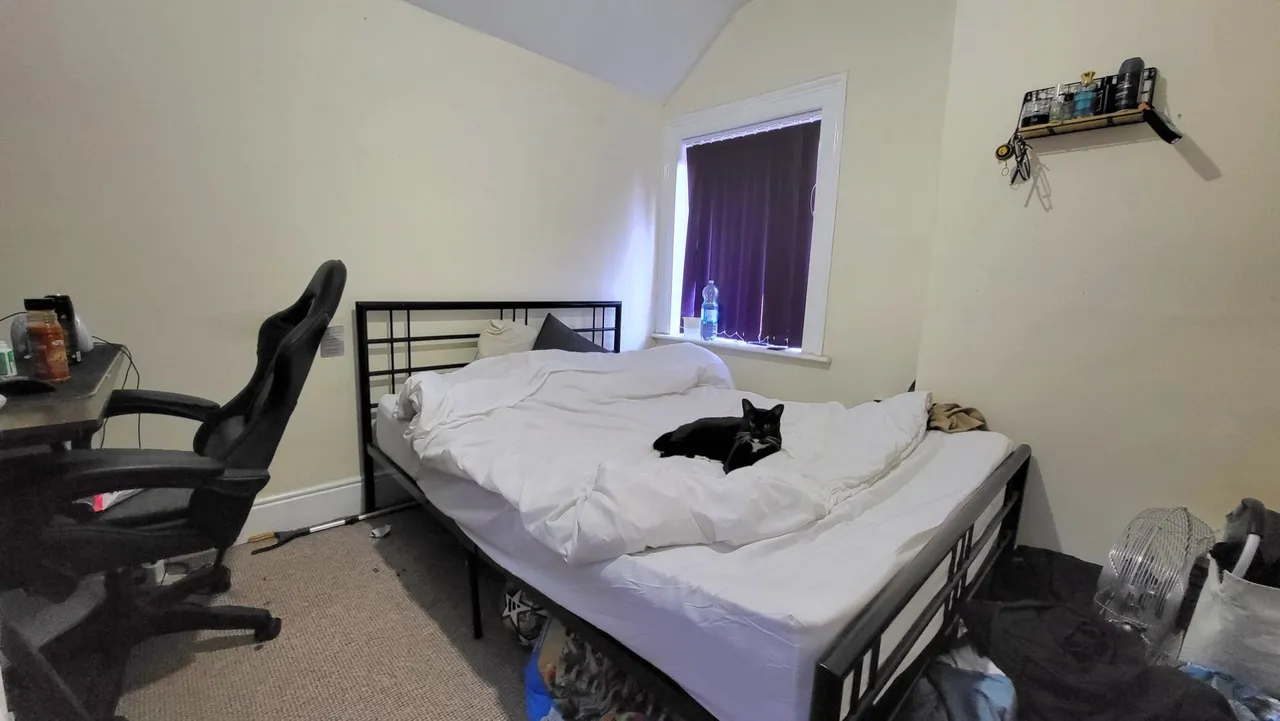 Lincoln Road, Peterborough, PE1, photo 16