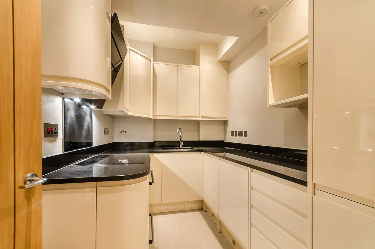 Basement, 15 Claverton Street, London, photo 3