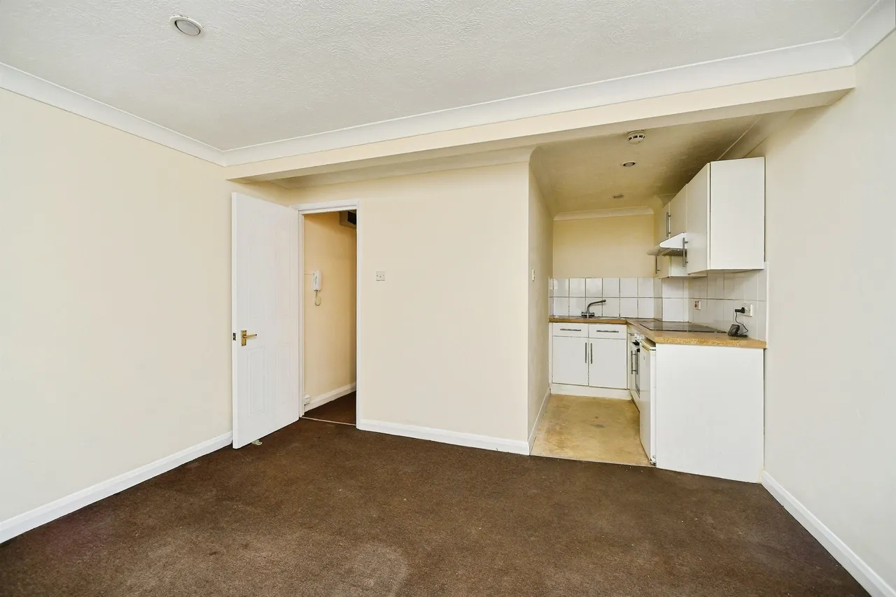 Lower Rock Gardens, Brighton, BN2, photo 17