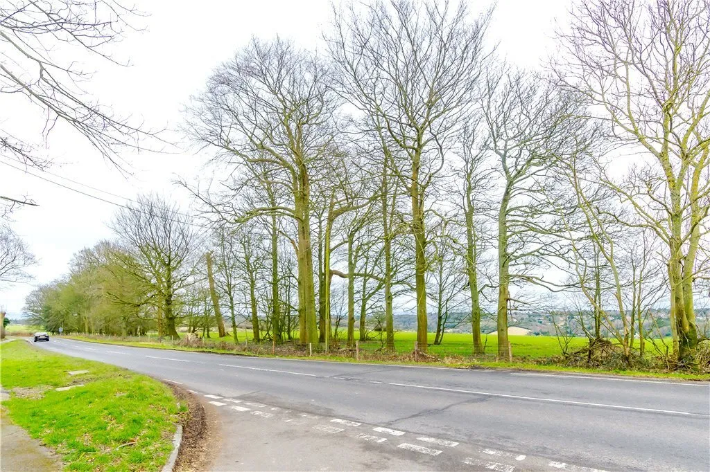 Beech Farm Road, Warlingham, Surrey, CR6, photo 5