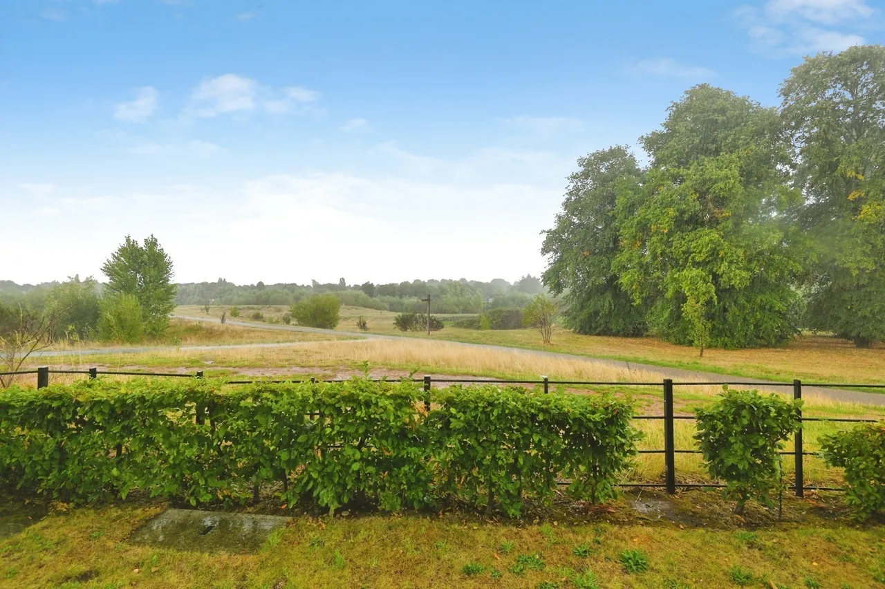 Golden Eagle Gardens, Birmingham, B23, photo 15